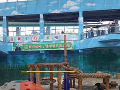 -沈阳森林动物园