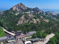 -西霞口神雕山野生动物世界