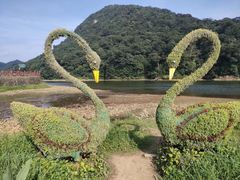 -广州市石门国家森林公园