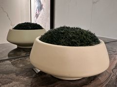 -新加坡文华东方酒店