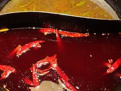 -蜀大侠火锅(总府路店)