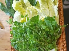 -四喜小胖·北京涮肉(五道营店)