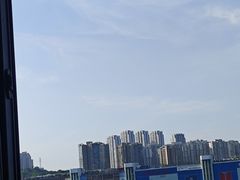 -李子坝梁山鸡(李子坝大鸡哥店)