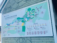 -亚龙湾国际玫瑰谷