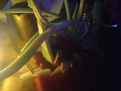 -音乐房子(鎏嘉码头店)