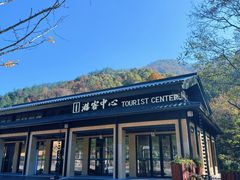 -天目山大树王景区