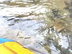 -增城大丰门漂流
