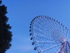 -星城之眼摩天轮
