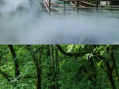 -西岭雪山大飞水景区