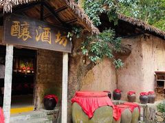 -海南槟榔谷黎苗文化旅游区