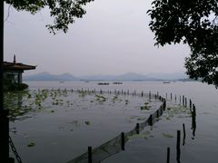 -西湖游船