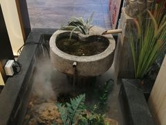 -丈母娘的饭局•新金陵菜(牛首山店)
