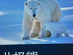 -蓬莱欧乐堡海洋极地世界