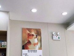 -爱佳宠物中心医院24H·CT·骨外科·猫专科(瑶海万达店)