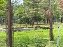 -秦皇岛野生动物园