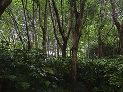 -郑州植物园