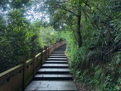 -杭州半山国家森林公园