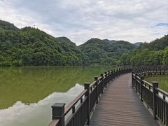 -江西阳明山国家森林公园