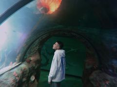 -沈阳海洋探索中心