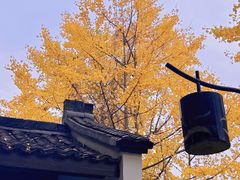 -鼓楼(西湖风景名胜区)