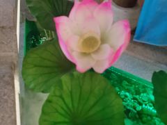 -荷塘秋月·本帮江浙菜(国权路店)