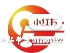 -新支点英语日语西语培训(摩天360大厦店)
