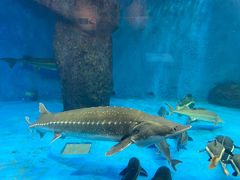 -多彩贵州城极地海洋世界