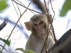 -石家庄市动物园