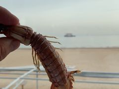 -海天一色海景自助餐厅(西港花园店)