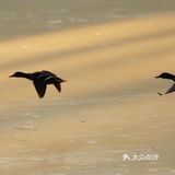 大寒遇腊八