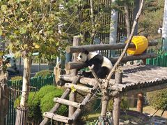 -大连森林动物园