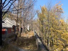 -阳台山自然风景区