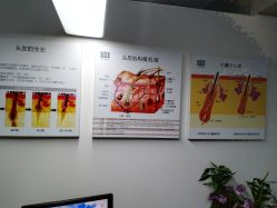 -章光101防脱养发荟