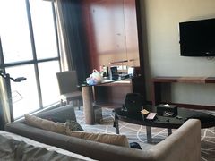 -常州环球恐龙城维景国际大酒店