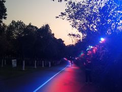 -艾溪湖湿地公园