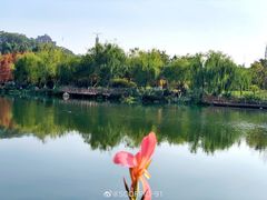 -琴亭湖公园