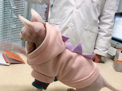 -莘程宠物医院(金山店)