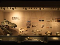 -自贡恐龙博物馆