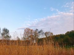 -东郊湿地公园