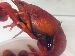-香满堂川湘菜烤鱼(龙茗路店)