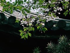 -龙华寺