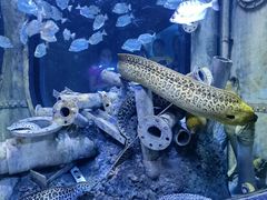 -成都浩海立方海洋公园