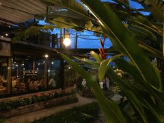 -Ohkajhu Organic Farm Sansai
