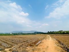-光明小镇欢乐田园