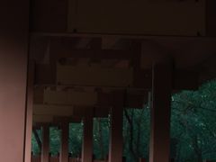 -大亚湾红树林城市湿地公园