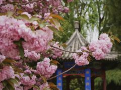 -隆兴寺