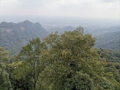 -青城山