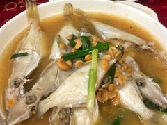 -蛇口康乐快餐鱼仔档(翠苑小区店)