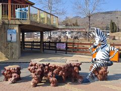 -大连森林动物园