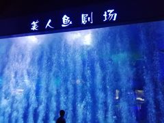 -临沂极地海洋王国